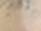 https://image.noelshack.com/fichiers/2021/17/3/1619640183-30-kn5brbnw.gif