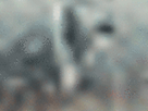 https://image.noelshack.com/fichiers/2021/17/3/1619640213-11-kn5brbnw.gif