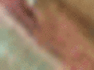 https://image.noelshack.com/fichiers/2021/17/3/1619640273-31-kn5brbnw.gif