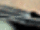 https://image.noelshack.com/fichiers/2021/17/3/1619640275-35-kn5brbnw.gif