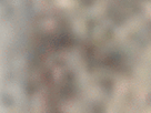 https://image.noelshack.com/fichiers/2021/17/3/1619640305-22-kn5brbnw.gif