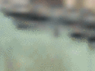 https://image.noelshack.com/fichiers/2021/17/3/1619640421-34-kn5brbnw.gif