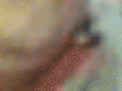 https://image.noelshack.com/fichiers/2021/17/3/1619640464-33-kn5brbnw.gif