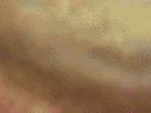 https://image.noelshack.com/fichiers/2021/17/3/1619640654-32-kn5brbnw.gif