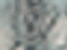 https://image.noelshack.com/fichiers/2021/17/3/1619640654-4-kn5brbnw.gif