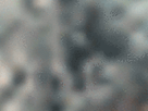 https://image.noelshack.com/fichiers/2021/17/3/1619640677-10-kn5brbnw.gif