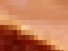 https://image.noelshack.com/fichiers/2021/17/3/1619641445-43-h49hftu3.png