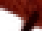 https://image.noelshack.com/fichiers/2021/17/3/1619641467-60-h49hftu3.png