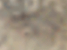 https://image.noelshack.com/fichiers/2021/17/3/1619641526-23-kn5brbnw.gif