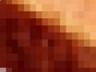 https://image.noelshack.com/fichiers/2021/17/3/1619641527-61-h49hftu3.png