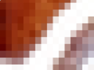 https://image.noelshack.com/fichiers/2021/17/3/1619641543-70-h49hftu3.png