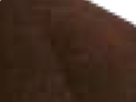 https://image.noelshack.com/fichiers/2021/17/3/1619642447-64-90nqqezy.png