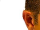 https://image.noelshack.com/fichiers/2021/17/3/1619644758-5-mcw6201w.png