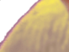 https://image.noelshack.com/fichiers/2021/17/3/1619645697-6-o9ish1bz.png