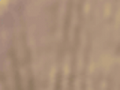 https://image.noelshack.com/fichiers/2021/17/3/1619645698-11-o9ish1bz.png