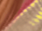 https://image.noelshack.com/fichiers/2021/17/3/1619645698-9-o9ish1bz.png
