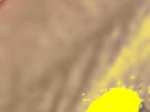 https://image.noelshack.com/fichiers/2021/17/3/1619645699-14-o9ish1bz.png