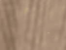https://image.noelshack.com/fichiers/2021/17/3/1619645700-16-o9ish1bz.png