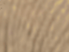 https://image.noelshack.com/fichiers/2021/17/3/1619645716-20-o9ish1bz.png