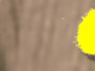 https://image.noelshack.com/fichiers/2021/17/3/1619645719-21-o9ish1bz.png