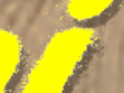 https://image.noelshack.com/fichiers/2021/17/3/1619645721-19-o9ish1bz.png