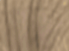 https://image.noelshack.com/fichiers/2021/17/3/1619645725-25-o9ish1bz.png