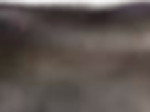 https://image.noelshack.com/fichiers/2021/17/3/1619645731-3-vbpvm5de.png