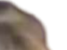 https://image.noelshack.com/fichiers/2021/17/3/1619645731-4-vbpvm5de.png