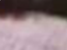 https://image.noelshack.com/fichiers/2021/17/3/1619645752-26-vbpvm5de.png