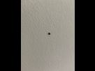 https://image.noelshack.com/fichiers/2021/17/4/1619707123-img-2953.jpg