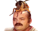 https://image.noelshack.com/fichiers/2021/17/4/1619731438-1614706338-cafared-copie.png
