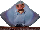https://image.noelshack.com/fichiers/2021/17/5/1619790098-sticker-raie-2.png