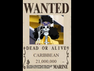 https://image.noelshack.com/fichiers/2021/17/5/1619809899-primejvc-caribbean.jpg