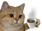https://image.noelshack.com/fichiers/2021/17/6/1619857058-62487-full.png
