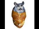 https://image.noelshack.com/fichiers/2021/18/4/1620332301-pupegeorge-1364320505.jpg
