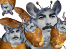 https://image.noelshack.com/fichiers/2021/18/4/1620333688-george-insecte-dreamer.png