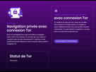 https://image.noelshack.com/fichiers/2021/18/5/1620405301-bravetor.png