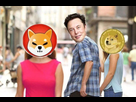 https://image.noelshack.com/fichiers/2021/18/6/1620459057-shiba-elon.jpg