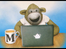 https://image.noelshack.com/fichiers/2021/18/7/1620517122-pg-tips-monkey-laptop.jpg