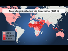 https://image.noelshack.com/fichiers/2021/18/7/1620583934-carte-excision-dans-le-monde-en-2011-750x421-85ee0-1.png