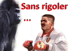 https://image.noelshack.com/fichiers/2021/19/2/1620731925-jean-mma.png