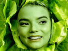 https://image.noelshack.com/fichiers/2021/19/2/1620763910-1613731690-anyabio.png