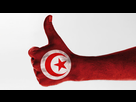 https://image.noelshack.com/fichiers/2021/19/3/1620773580-pouce-leve-pour-la-tunisie.jpg