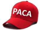 https://image.noelshack.com/fichiers/2021/19/3/1620810615-paca.png