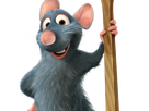 https://image.noelshack.com/fichiers/2021/19/4/1620866711-ratatouille.png