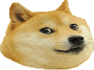 https://image.noelshack.com/fichiers/2021/19/4/1620919260-shiba.png