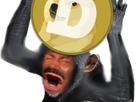 https://image.noelshack.com/fichiers/2021/19/5/1621002923-singedoge.png