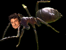 https://image.noelshack.com/fichiers/2021/20/1/1621265285-image.png