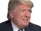 https://image.noelshack.com/fichiers/2021/20/2/1621361424-1479917774-trump3.png