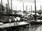 https://image.noelshack.com/fichiers/2021/20/3/1621460818-port-de-hong-kong-vers-1890.jpg